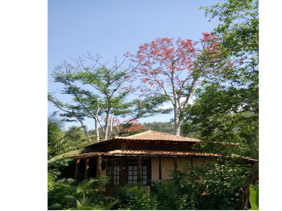 Paraty Villa D'Agua Temporada Exteriör bild